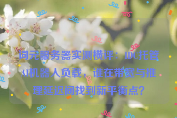 词元服务器实测横评：IDC托管AI机器人负载，谁在带宽与推理延迟间找到新平衡点？