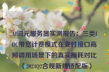 AI词元服务器实测报告：三类IDC带宽计费模式在支付接口高频调用场景下的真实损耗对比（2024Q2合规新规适配版）