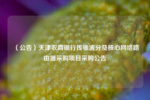 （公告）天津农商银行传输波分及核心网络路由器采购项目采购公告