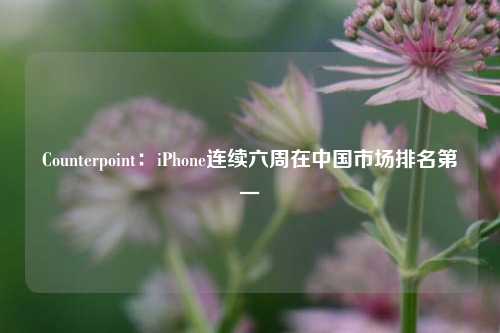 Counterpoint：iPhone连续六周在中国市场排名第一