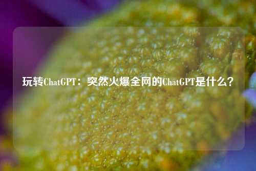 玩转ChatGPT：突然火爆全网的ChatGPT是什么？