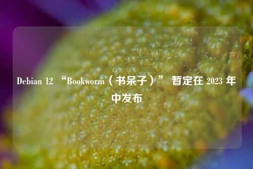 Debian 12 “Bookworm（书呆子）” 暂定在 2023 年中发布