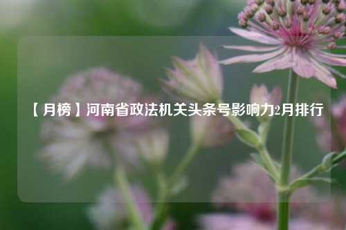 【月榜】河南省政法机关头条号影响力2月排行