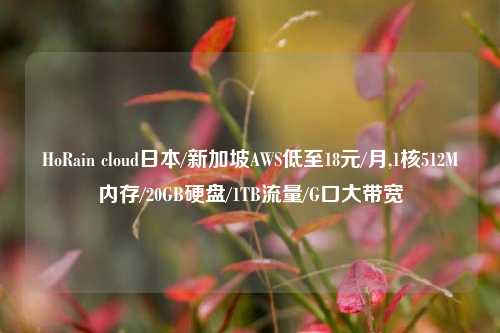 HoRain cloud日本/新加坡AWS低至18元/月,1核512M内存/20GB硬盘/1TB流量/G口大带宽