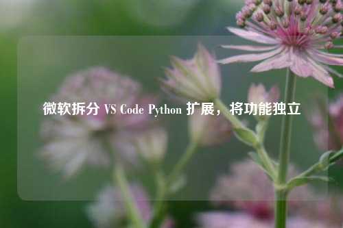 微软拆分 VS Code Python 扩展，将功能独立
