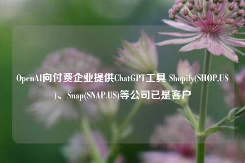 OpenAI向付费企业提供ChatGPT工具 Shopify(SHOP.US)、Snap(SNAP.US)等公司已是客户