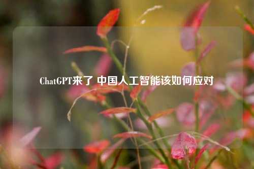 ChatGPT来了 中国人工智能该如何应对