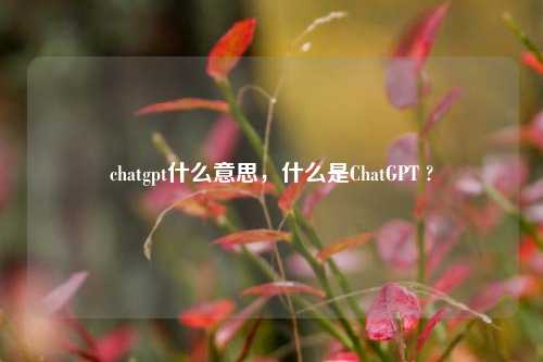 chatgpt什么意思，什么是ChatGPT ?