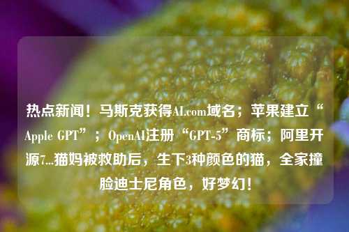 热点新闻！马斯克获得AI.com域名；苹果建立“Apple GPT”；OpenAI注册“GPT-5”商标；阿里开源7...猫妈被救助后，生下3种颜色的猫，全家撞脸迪士尼角色，好梦幻！